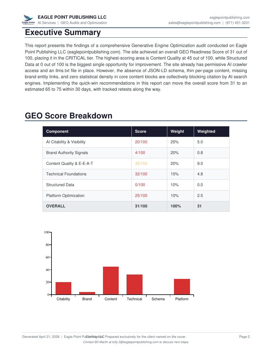 Before GEO audit report page 2